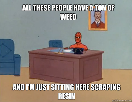 All these people have a ton of weed and I'm just sitting here scraping resin  masturbating spiderman