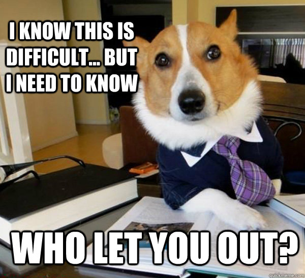 I know this is difficult... but i need to know who let you out?  Lawyer Dog