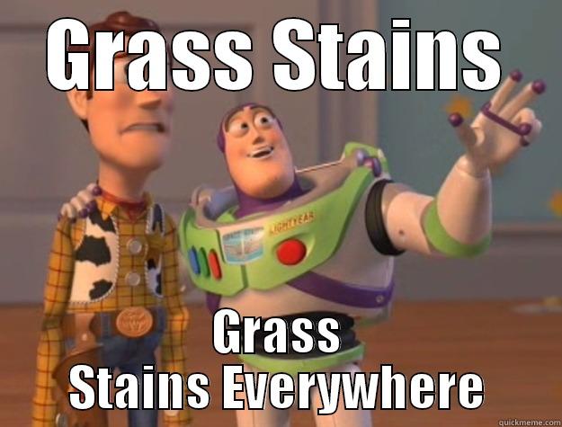 GRASS STAINS GRASS STAINS EVERYWHERE Toy Story