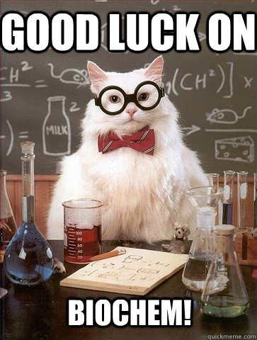 Good luck on  Biochem! - Good luck on  Biochem!  Chemistry Cat