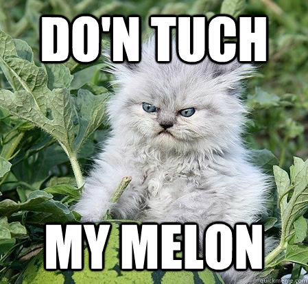 Do'n Tuch my melon - Do'n Tuch my melon  Miserly Cat