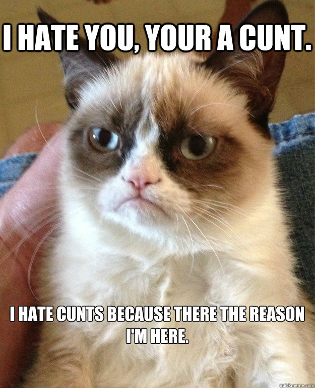 i hate you, your a cunt. i hate cunts because there the reason I'm here.  Grumpy Cat