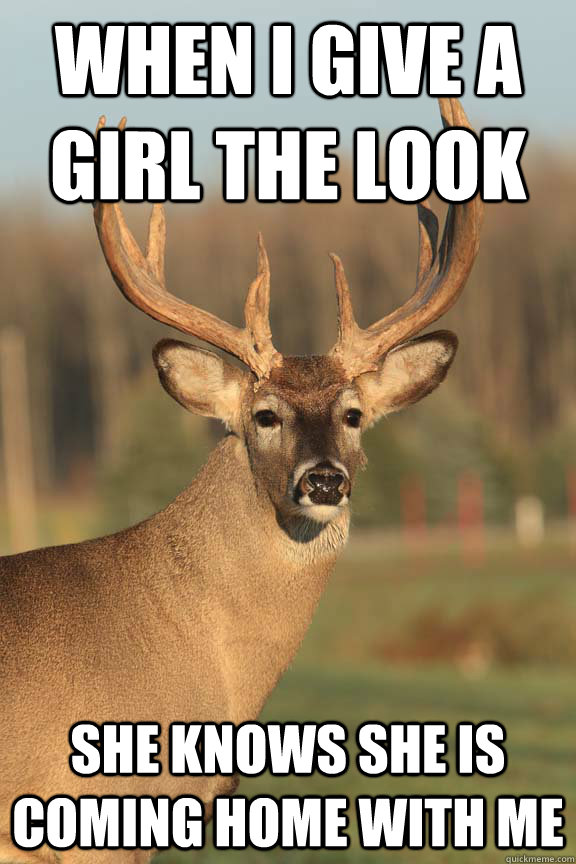 when i give a girl the look she knows she is coming home with me  deer look