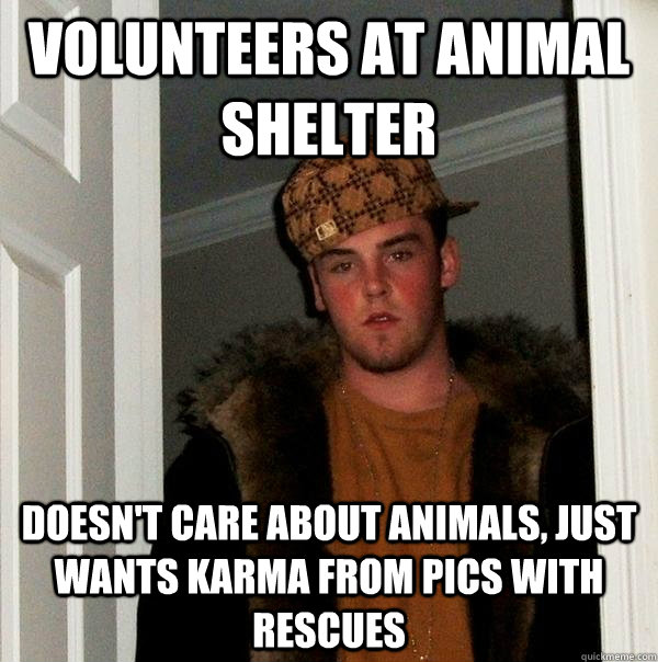 Volunteers at animal shelter doesn't care about animals, just wants karma from pics with rescues  Scumbag Steve