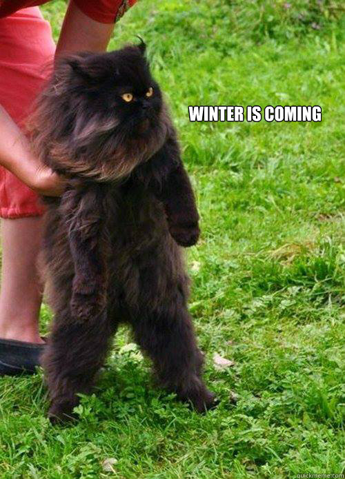 winter is coming - winter is coming  Cat Stark