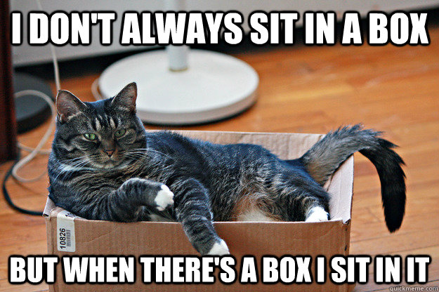 I don't always sit in a box but when there's a box I sit in it  