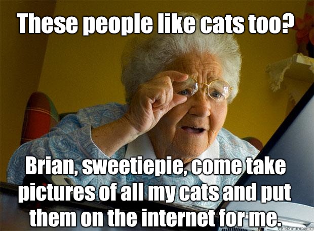 These people like cats too? Brian, sweetiepie, come take pictures of all my cats and put them on the internet for me.    Grandma finds the Internet