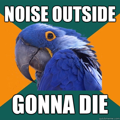 Noise Outside Gonna Die  Paranoid Parrot