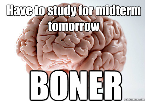 Have to study for midterm
tomorrow BONER  Scumbag Brain