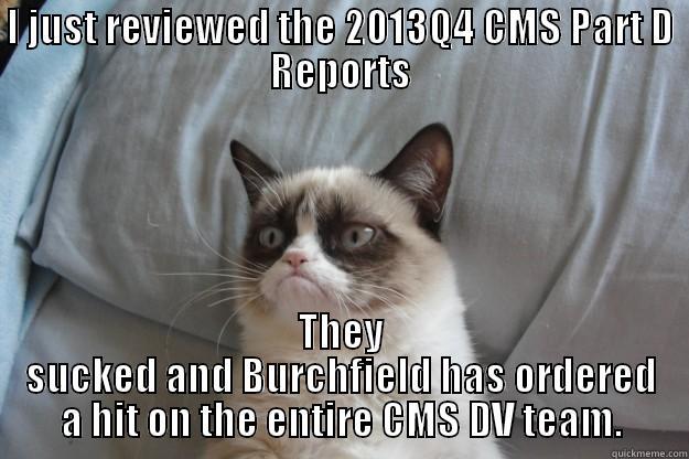 I JUST REVIEWED THE 2013Q4 CMS PART D REPORTS THEY SUCKED AND BURCHFIELD HAS ORDERED A HIT ON THE ENTIRE CMS DV TEAM. Grumpy Cat