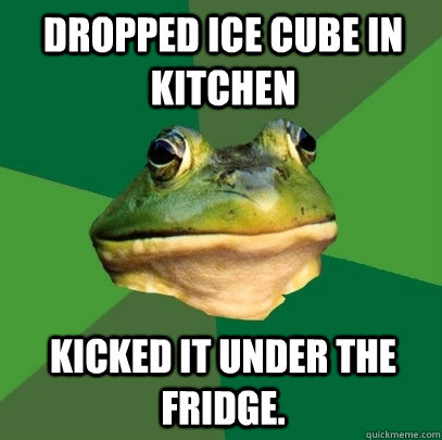 DROPPED ICE CUBE IN KITCHEN KICKED IT UNDER THE FRIDGE. - DROPPED ICE CUBE IN KITCHEN KICKED IT UNDER THE FRIDGE.  Foul Bachelor Frog