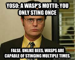 yoso: a wasp's motto; you only sting once false. unlike bees, wasps are capable of stinging multiple times. - yoso: a wasp's motto; you only sting once false. unlike bees, wasps are capable of stinging multiple times.  Misc