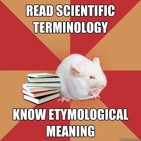 read scientific terminology know etymological meaning - read scientific terminology know etymological meaning  Science Major Mouse