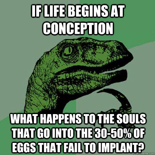 If life begins at conception What happens to the souls that go into the 30-50% of eggs that fail to implant?  Philosoraptor