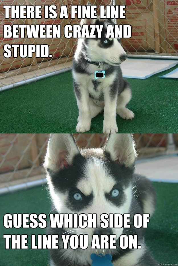 there is a fine line between crazy and stupid. Guess which side of the line you are on.  Insanity puppy