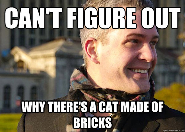 can't figure out why there's a cat made of bricks - can't figure out why there's a cat made of bricks  White Entrepreneurial Guy