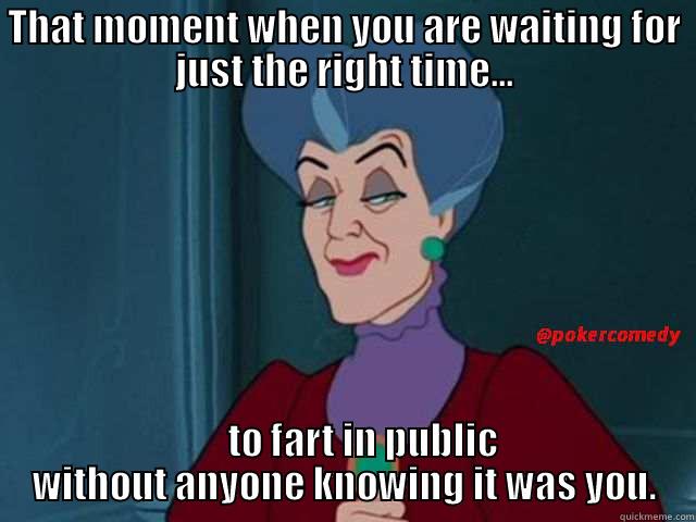 Public Farting - THAT MOMENT WHEN YOU ARE WAITING FOR JUST THE RIGHT TIME...      TO FART IN PUBLIC WITHOUT ANYONE KNOWING IT WAS YOU. Misc