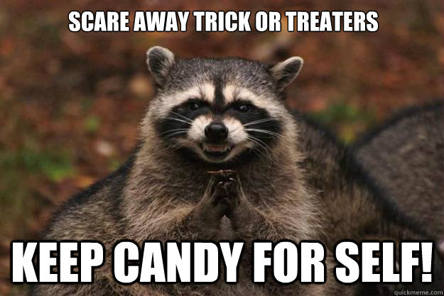 Scare Away trick or treaters Keep candy for self! - Scare Away trick or treaters Keep candy for self!  Evil Plotting Raccoon