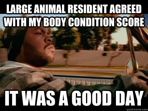 Large animal Resident agreed with my body condition score it was a good day  Ice Cube