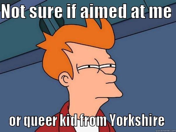 NOT SURE IF AIMED AT ME  OR QUEER KID FROM YORKSHIRE Futurama Fry