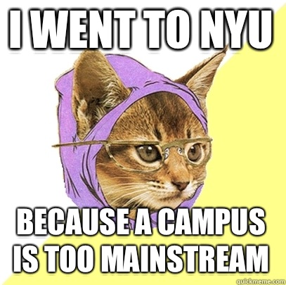 I went to nyu because a campus is too mainstream  Hipster Kitty