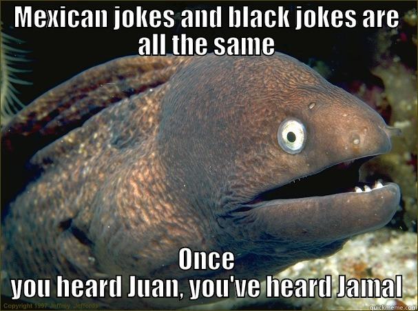 MEXICAN JOKES AND BLACK JOKES ARE ALL THE SAME ONCE YOU HEARD JUAN, YOU'VE HEARD JAMAL Bad Joke Eel
