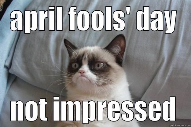 APRIL FOOLS' DAY NOT IMPRESSED Grumpy Cat