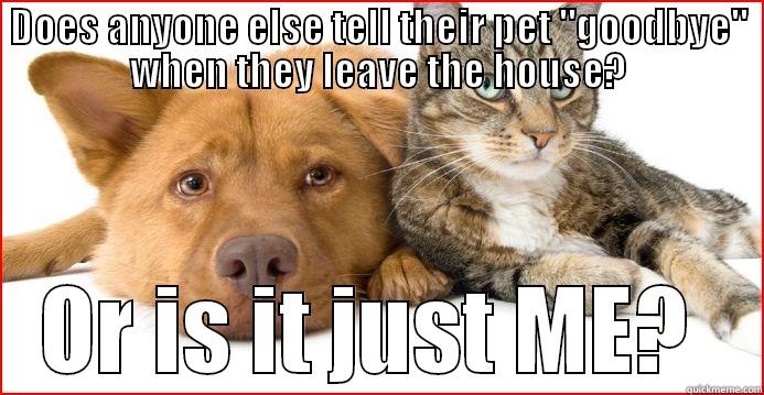 Kitty and doggy - DOES ANYONE ELSE TELL THEIR PET 