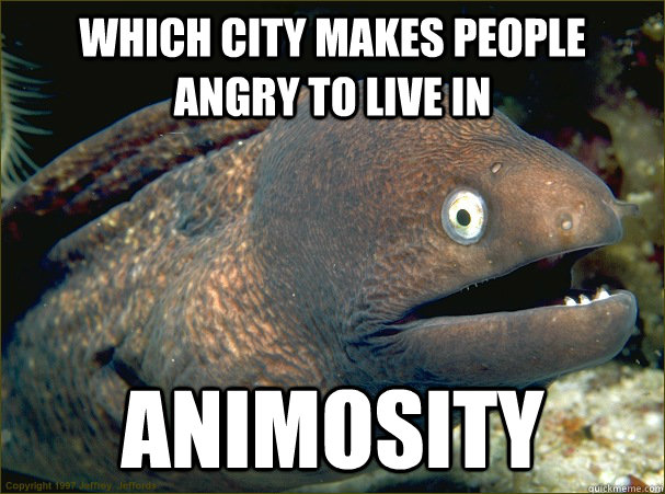 Which city makes people angry to live in animosity  Bad Joke Eel