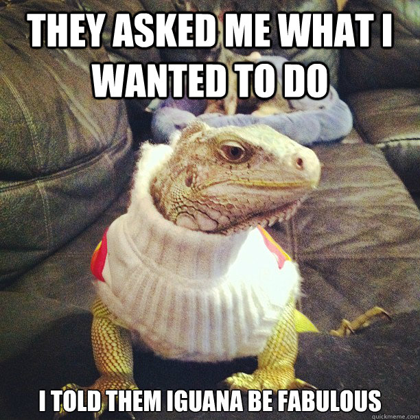 They asked me what I wanted to do I told them Iguana be fabulous  - They asked me what I wanted to do I told them Iguana be fabulous   Misc