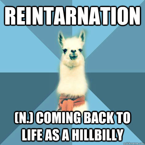 reintarnation (n.) Coming back to life as a hillbilly - reintarnation (n.) Coming back to life as a hillbilly  Linguist Llama