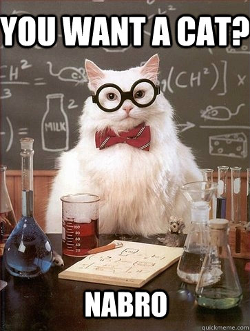 You want a cat? NaBrO - You want a cat? NaBrO  Chemistry Cat