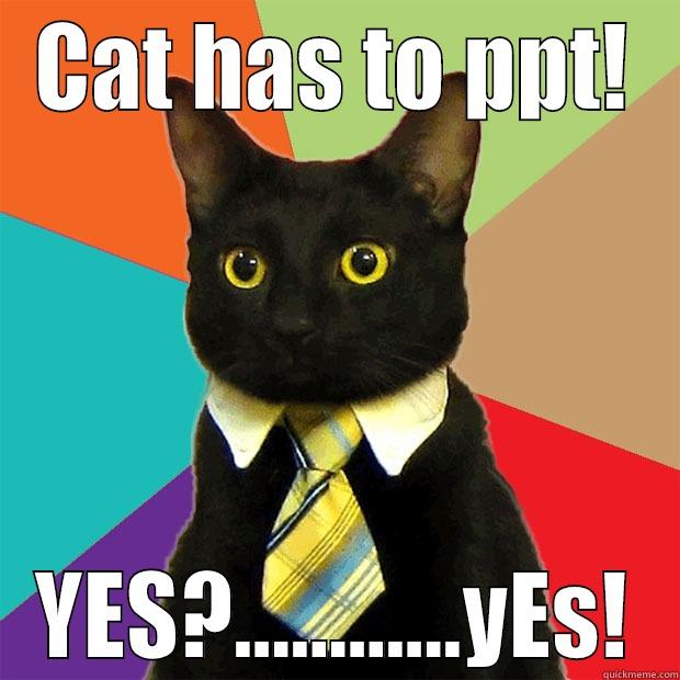 Office cat - CAT HAS TO PPT! YES?............YES! Business Cat