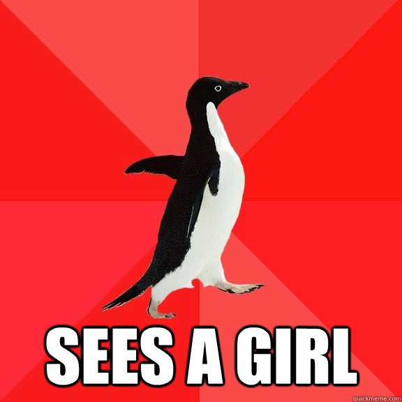  sees a girl  Socially Awesome Penguin