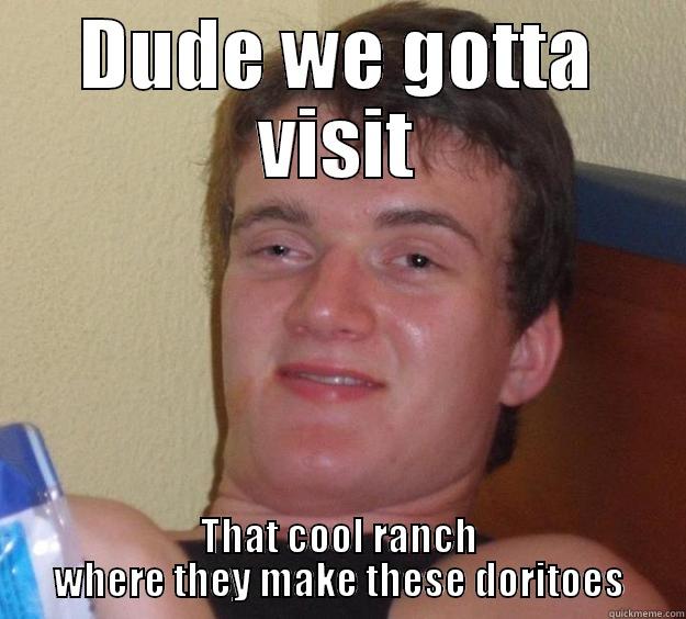 DUDE WE GOTTA VISIT THAT COOL RANCH WHERE THEY MAKE THESE DORITOES 10 Guy