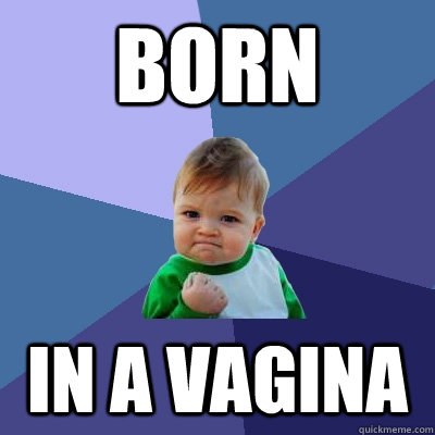 Born In a vagina  Success Kid