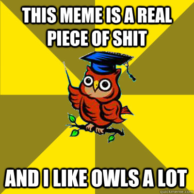 this meme is a real piece of shit and i like owls a lot - this meme is a real piece of shit and i like owls a lot  Observational Owl