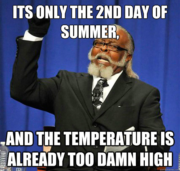 its only the 2nd day of summer, and the temperature is already too damn high  Jimmy McMillan