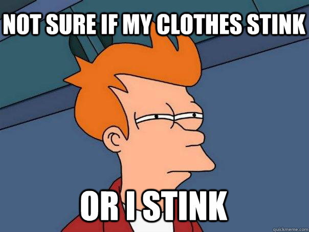 Not sure if my clothes stink or i stink - Not sure if my clothes stink or i stink  Futurama Fry