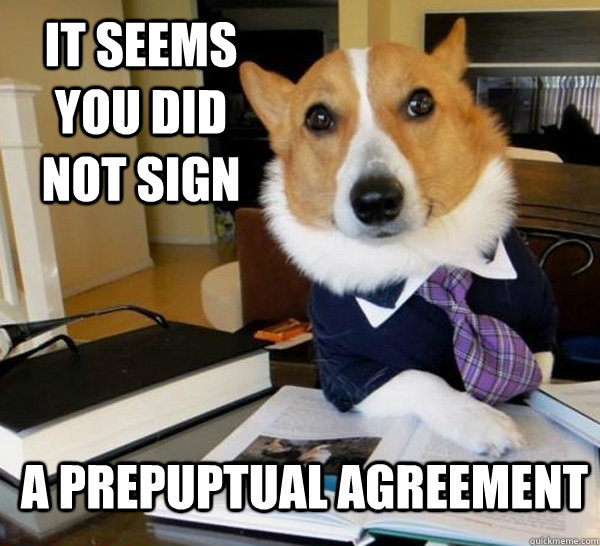 It seems you did not sign a prepuptual agreement  Lawyer Dog