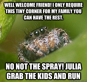 well welcome friend! i only require this tiny corner for my family you can have the rest. NO NOT THE SPRAY! JULIA GRAB THE KIDS AND RUN  Misunderstood Spider