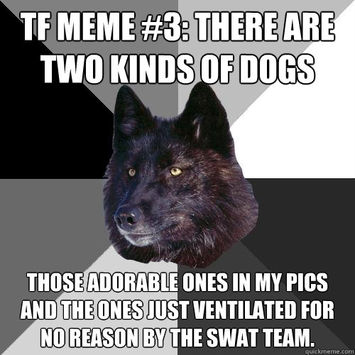 tf meme #3: There are two kinds of dogs those adorable ones in my pics and the ones just ventilated for no reason by the swat team.  Sanity Wolf