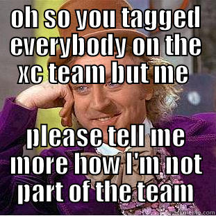 Being left out - OH SO YOU TAGGED EVERYBODY ON THE XC TEAM BUT ME  PLEASE TELL ME MORE HOW I'M NOT PART OF THE TEAM Condescending Wonka