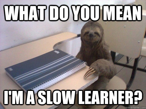 what do you mean i'm a slow learner? - what do you mean i'm a slow learner?  Sloth Student