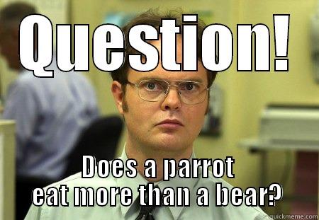 QUESTION! DOES A PARROT EAT MORE THAN A BEAR? Schrute