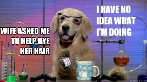 Wife asked me to help dye her hair   science dog