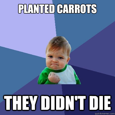 Planted carrots They didn't die  Success Kid