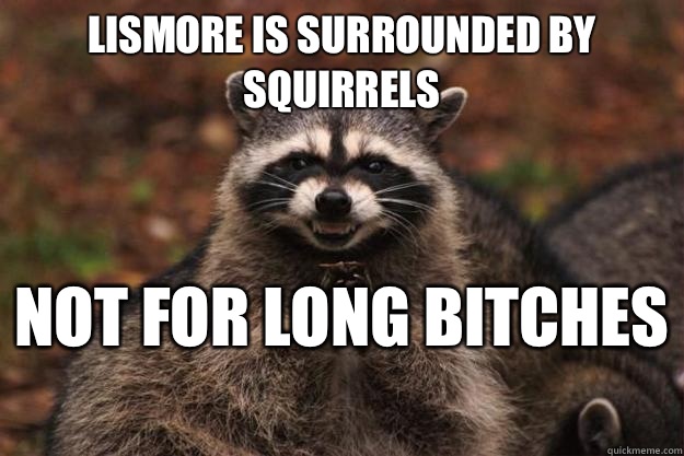 Lismore is surrounded by squirrels Not for long bitches   Evil Plotting Raccoon