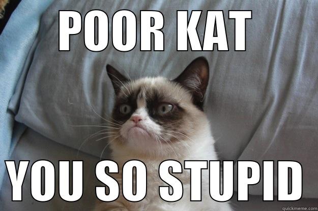 POOR KAT YOU SO STUPID Grumpy Cat