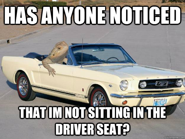 has anyone noticed that im not sitting in the driver seat? - has anyone noticed that im not sitting in the driver seat?  Pickup Dragon